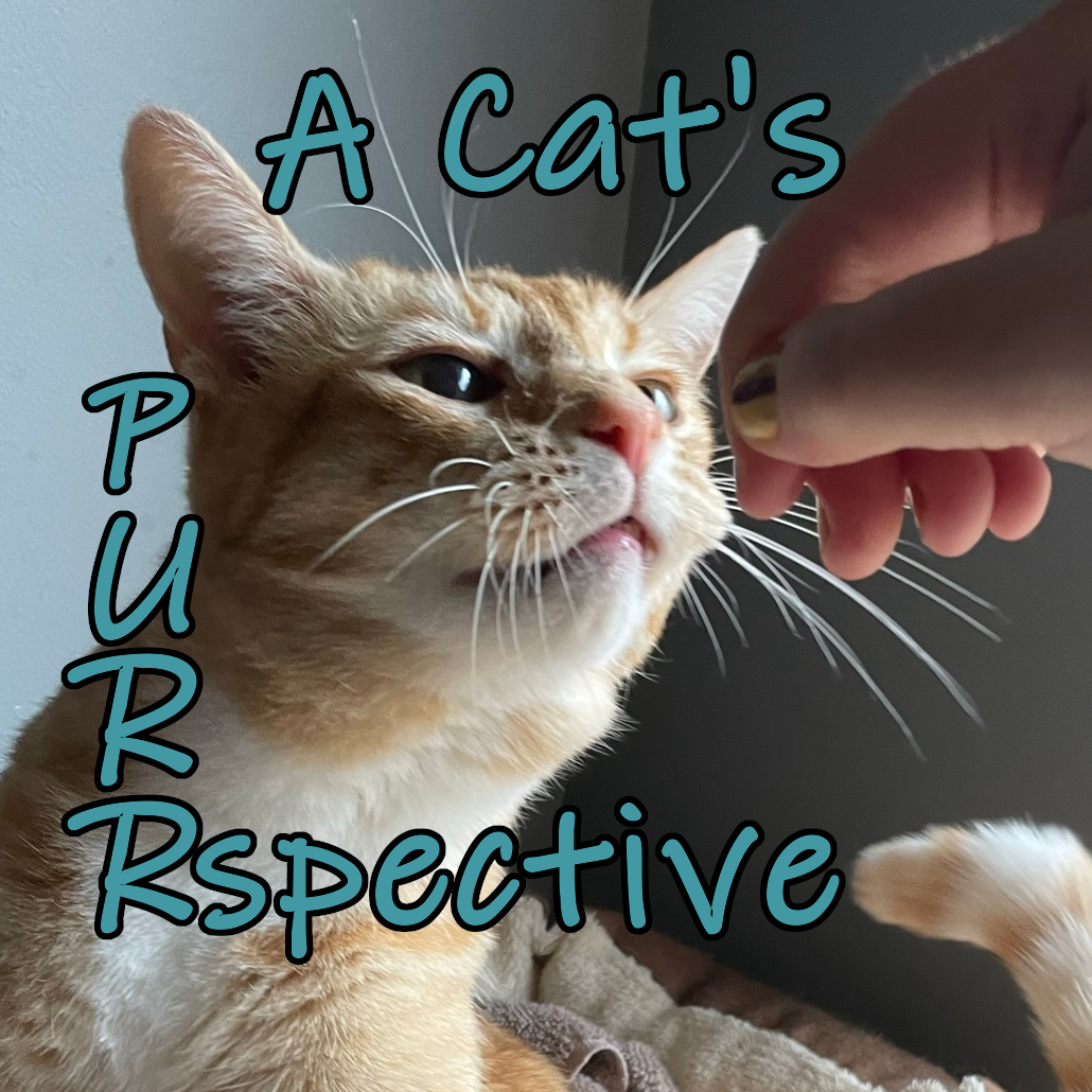 A Cat's Purrspective logo