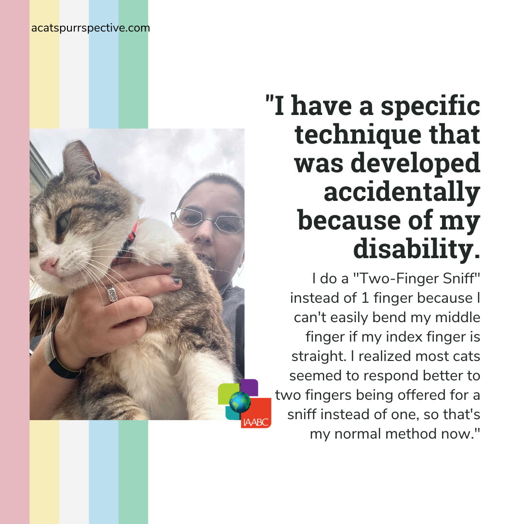 A picture taken outside of me--a person with light olive skin, geometric silver glasses, very short mostly dark brown with some gray hair--wearing a grey shirt and a large brown and white tabby cat is on my lap. IAABC logo and disability pride flag stripe at the bottom